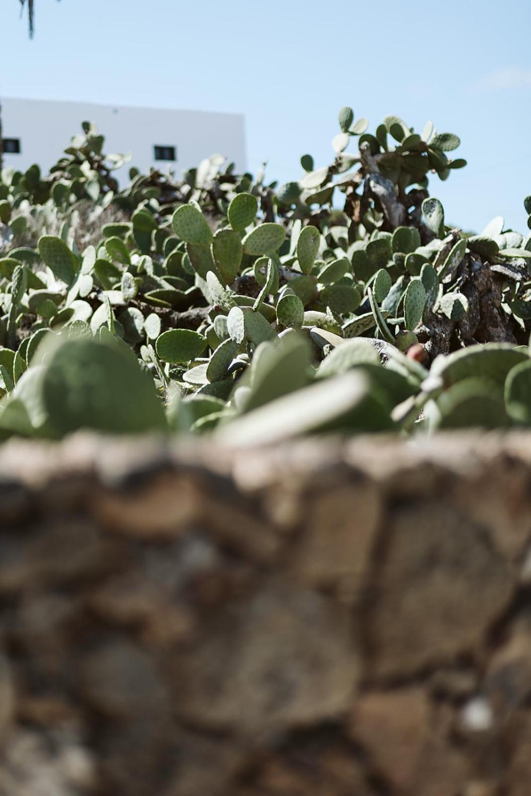 Hotelito Rural Flor De Timanfaya Tinajo Εξωτερικό φωτογραφία